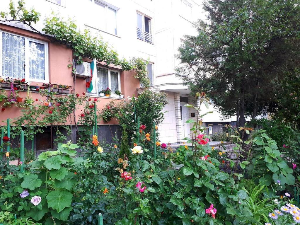 2 Bedrooms With Private Bath And Balcony Near The Airport صوفيا المظهر الخارجي الصورة